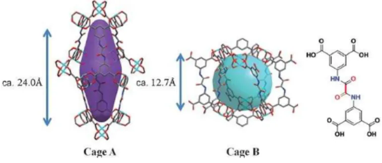 Figure 2.4  Oxamides 