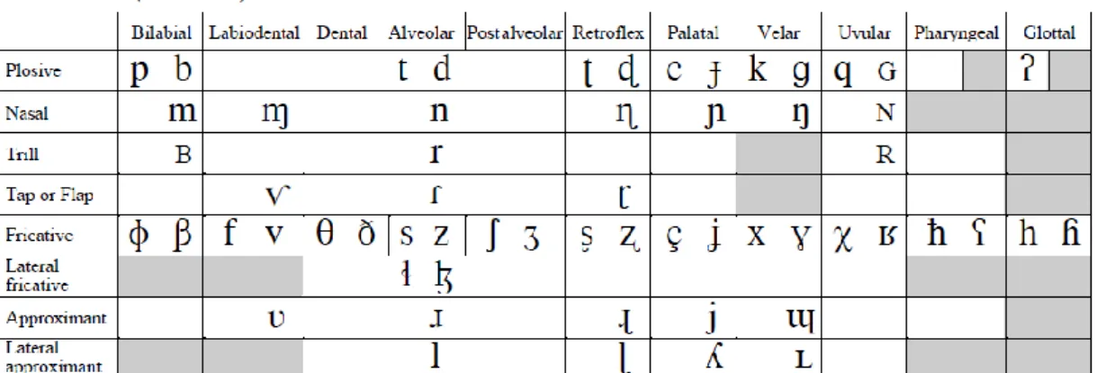 Figura 8 – Alfabeto fonetico internazionale utilizzato per la classificazione di suoni consonantici 