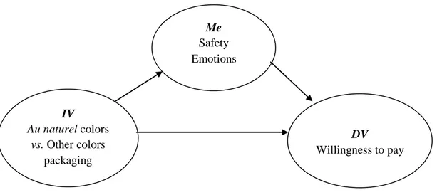 Figure  2.3  shows  a  graphic  representation  of  the  hypothesized  mediation  mechanism