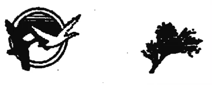 Fig. 1.9 Esempi di loghi ad high-recognition utilizzati da Henderson e Cote (1998) 