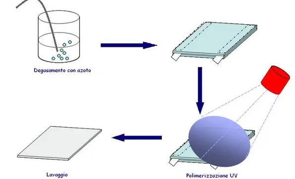 Figura 2.2:  Rappresentazione schematica del processo di polimerizzazione radicalica UV-iniziata.