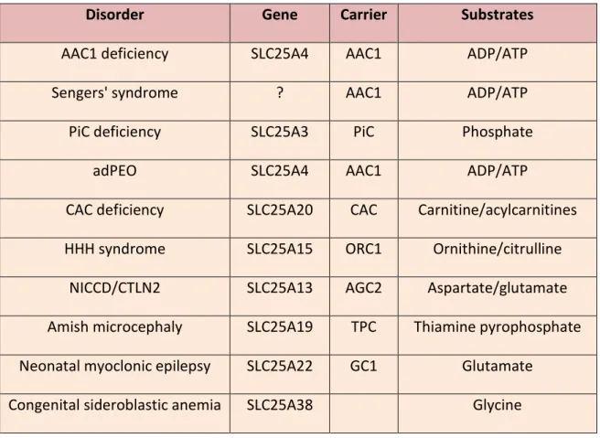 Table 1.2 Diseases associated with mitochondrial carriers 