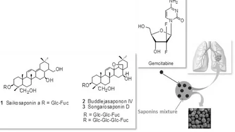 Figure 1: Representative scheme of gemcitabine loaded microparticles 