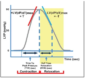 Fig.  1224  Rappresentazione  grafica  dei  parametri  emodinamici  valutabili  mediante  il  sistema  di  acquisizione  dati 