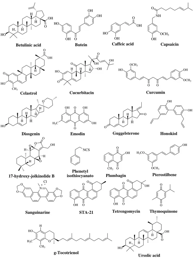 Figure 8. Chemical structures of selected natural inhibitors of STAT3 signal. 