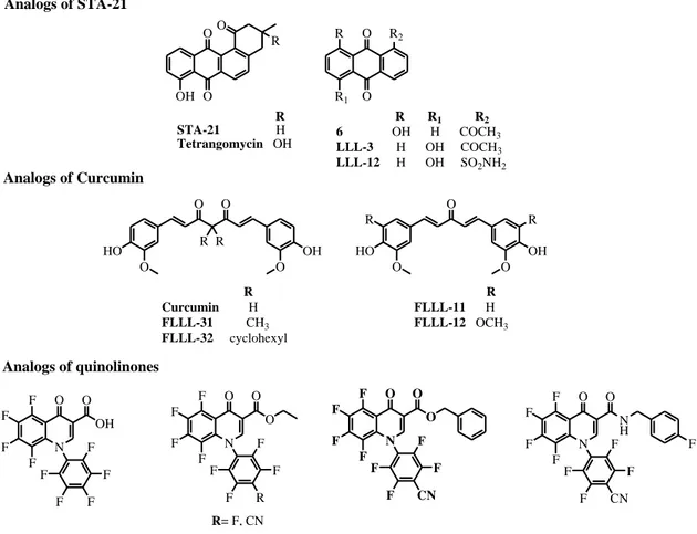 Figure 9. Synthetic analogs of natural STAT3 inhibitors. 