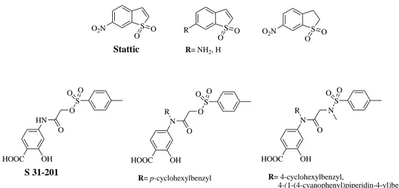 Figure 10. Chemical structures of Stattic, S 31-201 and their analogs. 
