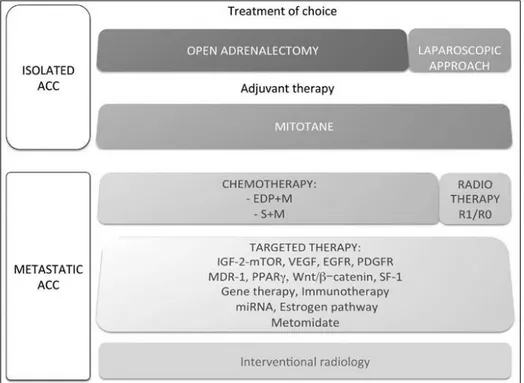 Fig. 2.1 Treatment of choice in isolated and metastatic adrenocortical carcinoma (ACC)