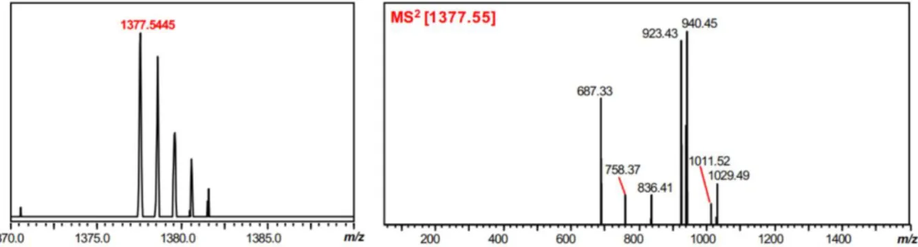 Fig. 20. MS and MS 2  analysis of thiostreptamide S4 produced by S. coelicolor M1146-TARS4