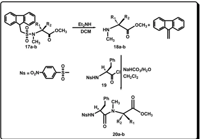 Table 7. Results of the synthesis of 20a-b 