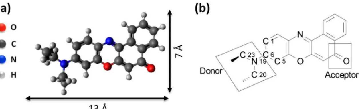 Figure  1.  (a)  Molecular  structure  of  the  Nile  Red  molecule,  which  exhibits  the  flat  aromatic  core 