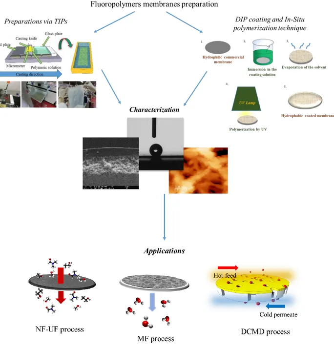 Figure 1. Schematic illustration of the research carried out in the present PhD Thesis 