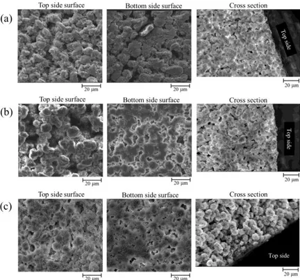 Figure 5. SEM photographs of membranes prepared from PVDF / ATEC solutions at the different  knife / plate gap of (a) 200, (b) 300, and (c) 400   m