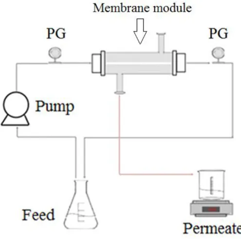 Fig. 3.9. Equipment for surface activation of alumina membranes and enzymatic covalent  immobilization