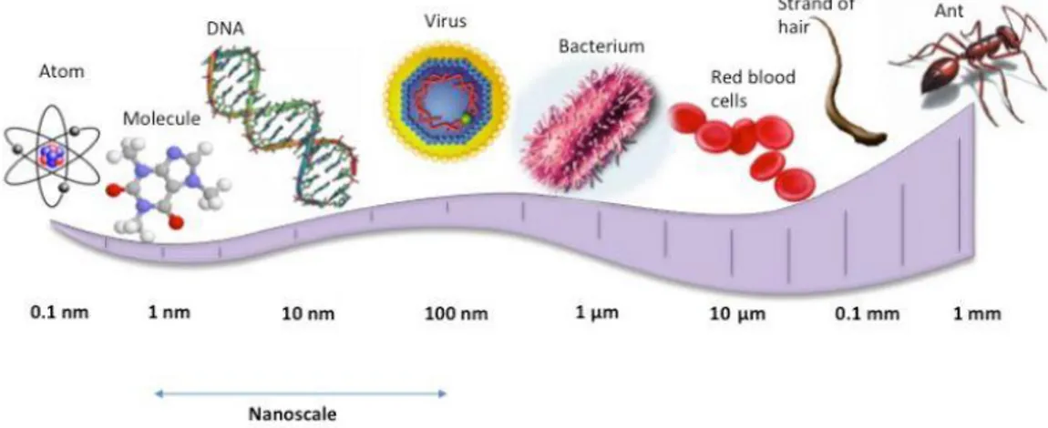 Figure 1.1: Examples of the size and the scale of nanotechnology 