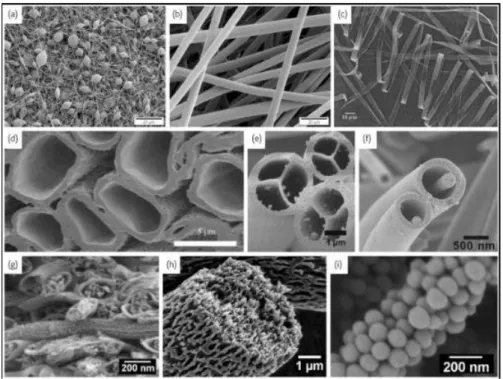 Figure 2.2: Examples of electrospun fibers with differentes morphologies and  diameters