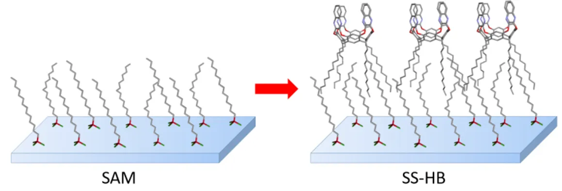 Figure 2.5: Hydrophobic SAM and SS-HB of QxCav on fused silica