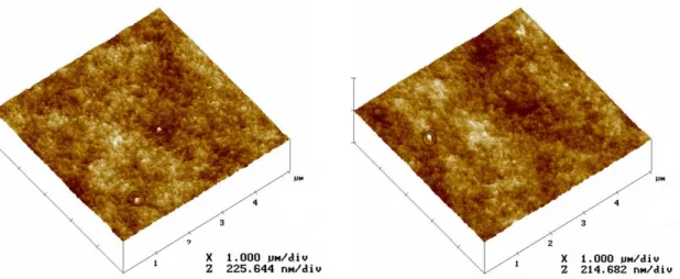 Figure 3.14 AFM images of lipase (I) and BSA (II) adsorbed on RC virgin membrane 