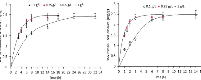 Figure  3.16  Effect  of  contact  time  and  initial  protein  concentration  on  BSA 