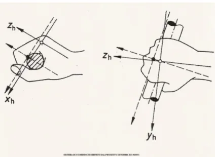 Figura 56: Orientamento assi per le misure sul sistema mano-braccio 