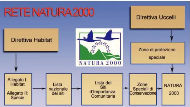 fig. 2 Rete natura 2000 rielaborazione Luciani A. Reinventare un paesaggio. La riqualificazione degli spazi fluviali come 