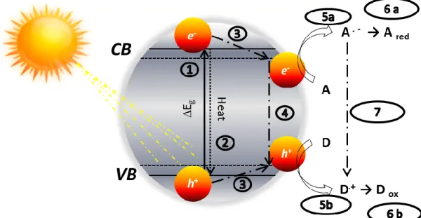 Figure 8. Schematic key processes representation of a photocatalytic reaction at  level of a semiconductor particle