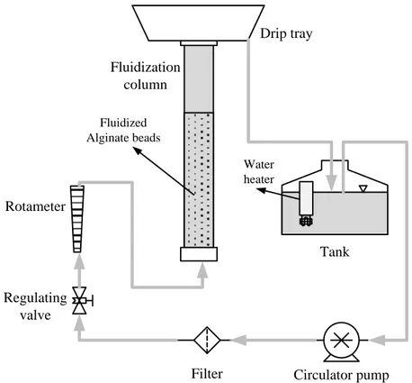 Fig. 16. Experimental setup of the bioreactor with 10-cm diameter column. 