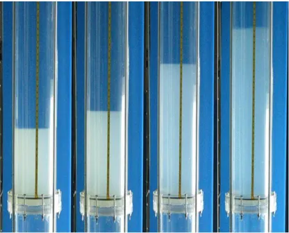 Fig. 23. Evaluation of the bed height in the 10-cm column with increasing Ringer  solution flowrate