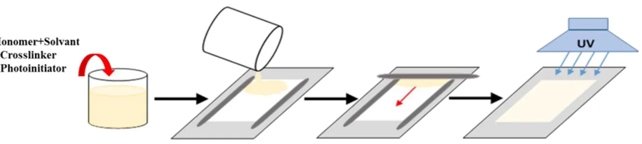 Figure  12  Preparation  of  hydrogel  composite  membranes:  1)  Pre-conditioning  of  membranes,  2)  Preparing  of  hydrogel  solutions, 3) Casting a thin layer of hydrogel solution, 4) Polymerization of the solution under the UV lamp 