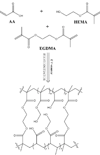 Figure 14 UV-initiated polymerization reaction for the synthesis of the hydrogel layer on the PP support: AA /HEMA/EGDMA