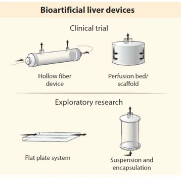 Figure	1.	3			Common	types	of	BAL	devices	and	areas	in	which	they	are	mostly	employed	[12].	