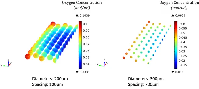 Figure	3.	8			Oxygen	concentration	profile	(mol/m³)	inside	the	spheroids	sitting	at	the	bottom	of	a	well	 containing	2ml	of	culture	medium.	