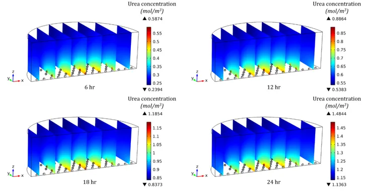 Figure	 3.	 11	 	 	 Urea	 concentration	 profile	 and	 its	 accumulation	 in	 1ml	 culture	 medium	 containing	 99	 spheroids	(300µm	in	diameter,	700µm	spacing)	at	different	time	points	during	the	culture.	