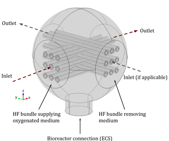 Figure	4.	2			Miniaturized	bioreactor	model	considering	9	hollow	fibers	in	each	bundle,	hosting	20	spheroids	 in	a	4×4×5	arrangement	in	the	extra-capillary	space.	