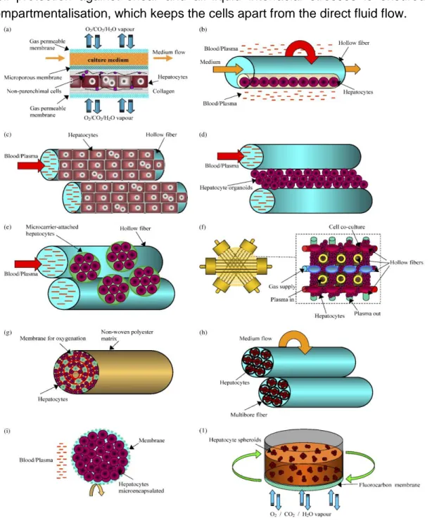 Fig. 1.5 Configuration of membrane bioreactors using hepatocytes cultured (a) between flat-sheet  membranes;  (b)  entrapped  in  a  three-dimensional  contracted  gel  matrix  inside  of  hollow  fibre  membranes;  (c)  outside  of  hollow  fibre  membran