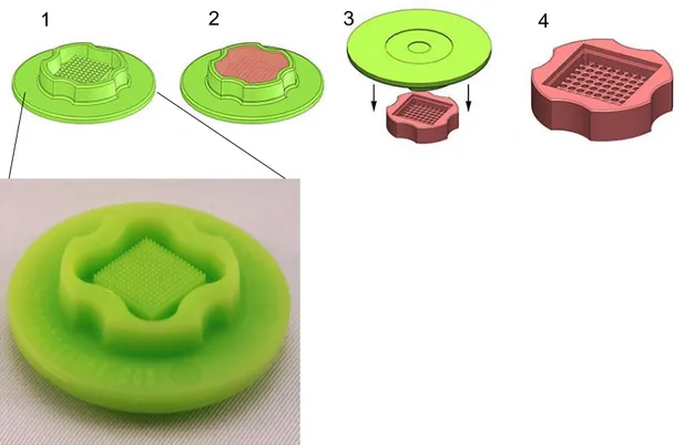 Fig. 2.1.  An illustration of the various steps of agarose mold fabrication showing 1) the silicone  12-256  3D Petri Dish® cast, 2) filling the cast with molten agarose, 3) after 10 minutes the  agarose mold is set and ready to be released, 4) the mold is