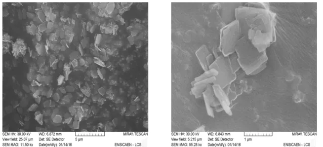 Figure 4.5 – SEM images of investigated FER-type materials synthesized with 1,8-diamminoctane (DAO- (DAO-FER) 