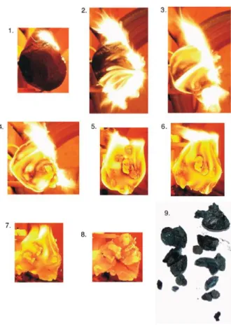 Figure 1.4: Stages of combustion for a Polish hard coal particle combusted at 850 °C