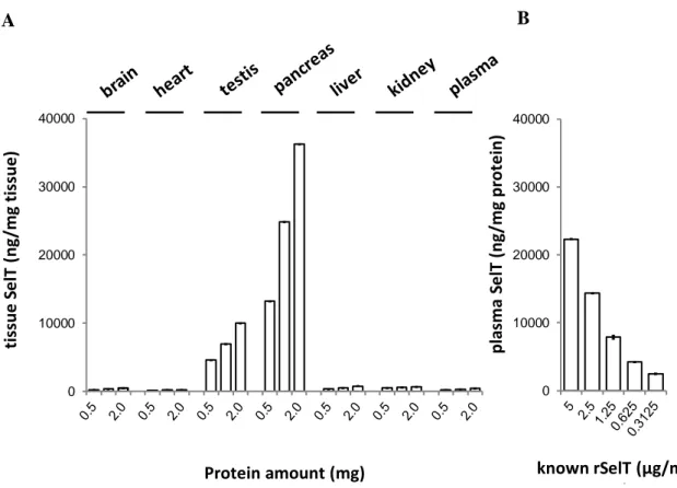 Fig. 5.A. Détection de la SelT par IC-ELISA dans les extraits protéiques de tissus de souris C57Bl/6 (cerveau,  cœur,  testicule,  pancréas,  foie,  rein,  plasma)