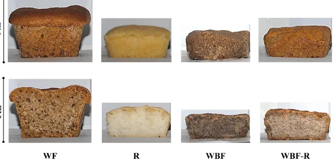 Fig. 2.12 Bread loaf height and internal structure of the GF control samples (WF, R, WBF, WBF-R) 