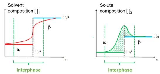 Figure 2.3.6 Idealized system for the definition of the Gibbs dividing surface