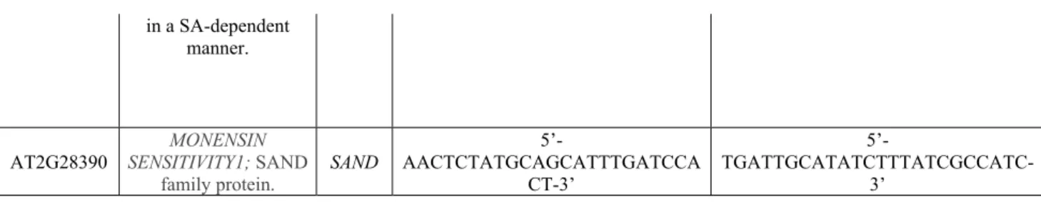 Table 2.2: Primers used in qRT-PCR for auxin transporter genes.  Gene description was obtained from the  freely  accessible  database  STRING  (Search  Tool  for  the  Retrieval  of  Interacting  Genes/Proteins,  https://string-db.org) (von Mering et al.,2