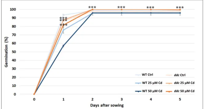 Figure 3.1: Germination percentage of ddc and WT A. thaliana seeds (i) on growth medium added with 25  or 50 µM Cd; (ii) on growth medium without Cd as control (Ctrl); under long day light regime