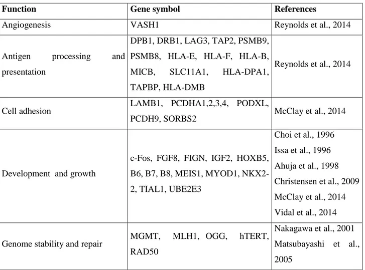 Figure  2  represents  DNA  methylation  variations  occurring  during  aging  within  interspersed  repeats and genes