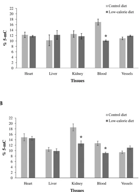 Fig. 5. Global DNA methylation levels in heart, liver, kidney, blood, and vessels from A) mothers fed with standard and low-calorie diet during pregnancy and lactation and of B) their oﬀspring at the weaning
