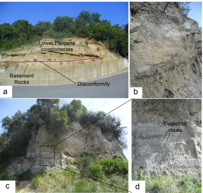 Figure 3.10: different conglomerates outcropping to the south of western Catanzaro Trough: a) and b)  crystalline-rich conglomerates; c) and d) evaporites-rich conglomerates