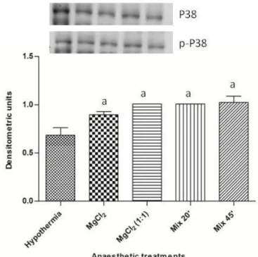 Fig. 6. Western blotting and densitometric analysis of phosphorylation levels of phospho 