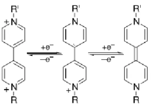 Fig.  1.12.  The  three  common  redox  states  of  viologens,  showing  the  two  successive  electron  transfer 
