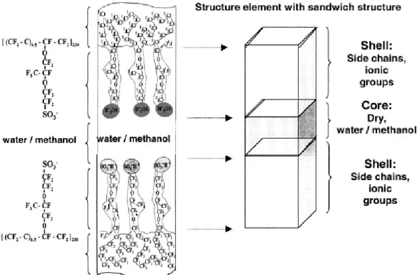 Figure 1.3.7: Sandwich-like structural element proposed for the morphological organization of  Nafion