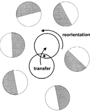 Figure 1.4.1: Schematic diagram of the two reaction steps in long range proton transport